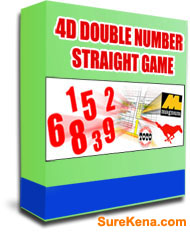 4d double number software box jpg