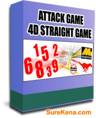 4d straight game software box jpg
