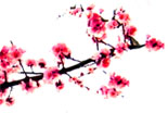 chinese new year peach left jpg