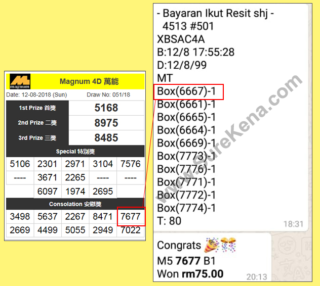Magnum 4D Result - 12 August 2018