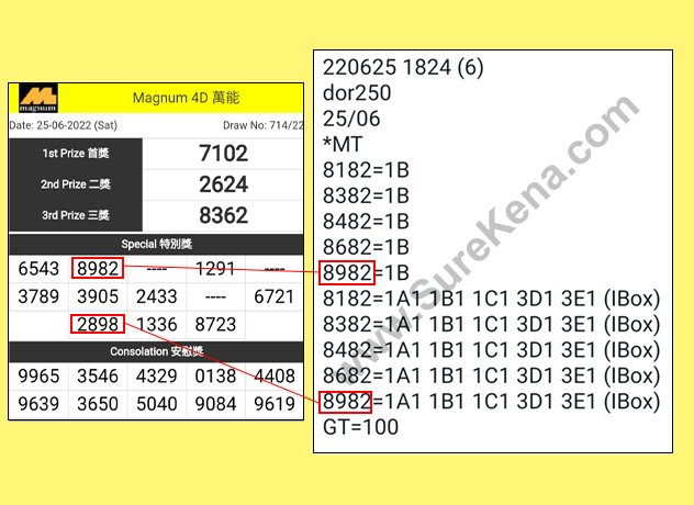 Magnum 4D Result - 25 June 2022